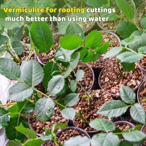 Vermiculite for Gardening 1qt, Horticultural Sand Perfect for Seed Starter or Propagation by Cutting, Soil Addictive for Aeration and Moisture Retention - Image 3
