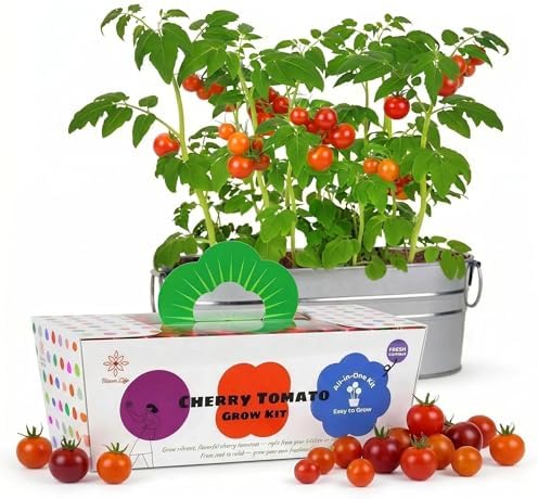 Cherry Tomato Grow Kit, All-in-One Indoor Vegetable Garden Starter Kit with Metal Planter, Complete Growing Set for Beginners, Kitchen Windowsill & Home Gardening & Plant Lovers Gift by Unknown