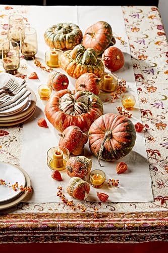 Turk's Turban Pumpkin Seeds - 20+ Count & 50+ Connecticut Field Pumpkin - for 2026 Planting USA Garden Vegetable Winter Squash Gourd Fall Bush Summer Non-GMO Heirloom Grow Your Own - Image 7