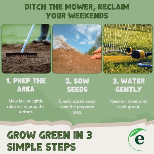 Earthwise Shady Native Wildflower Seed Mix - 1 lb, 750 sq ft - Image 6