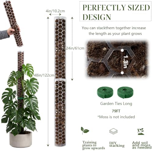 Plastic Moss Pole for Monstera and Climbing Plants (4 PACK-24Inch) - Image 6