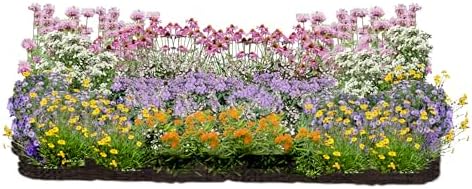 64 Outdoor Plants - Flowering Garden for Full Sun to Support Pollinators Including Perennial Native Plants Purple Coneflower, Butterfly Milkweed, Wild Bergamot and Smooth Blue Aster by MyHomePark