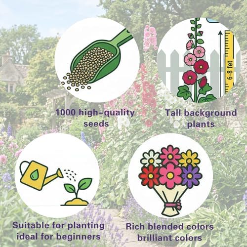 Hollyhock Seeds 1000 pcs Cottage Garden Seeds, Biennial Flowers - Image 6