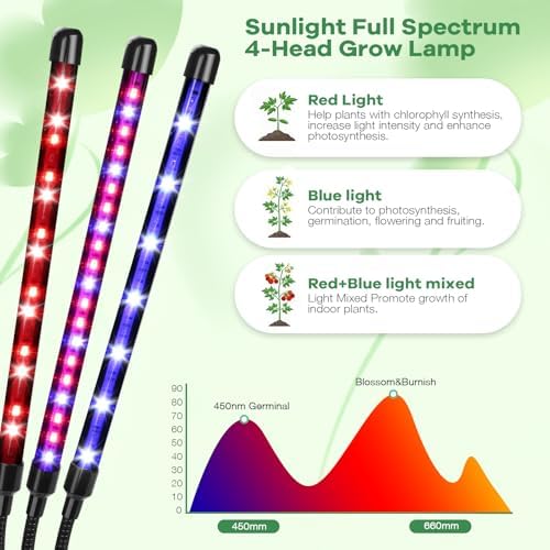 Led Grow Lights, 4 Heads Red Blue Plant Light with Clamp for Indoor Plants & Seed Starting, 10-Level Dimmable, Auto On Off, Timing 3 9 12Hrs - Image 6