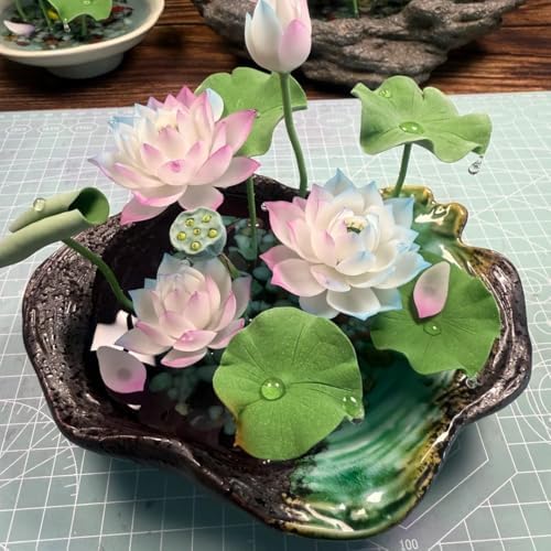 2 Packs of Dwarf Lotus Seeds for Planting in Water, 160+pcs Bowl Lotus Hummingbird Vine Flower Seeds, Heirloom Non-GMO Beauty Flowers Plants Water Home Garden Lotus Bowl Planters for Outdoors Indoors - Image 7