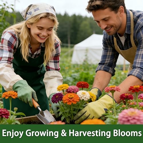 LUOJIBIE Zinnia Seeds, 13000+ Bulk Pack Mixed Colors Large Blooms Seeds, California Giant Zinnia Seeds for 2026, High Germination Non-GMO, Wildflower Seeds for Planting Indoor Outdoor, Open Pollinated - Image 6