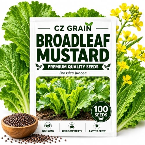 Broadleaf Mustard Seeds to Plant | 100 Seeds | Spicy Green Leafy Vegetable by CZGrain