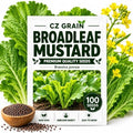 Broadleaf Mustard Seeds to Plant | 100 Seeds | Spicy Green Leafy Vegetable by CZGrain
