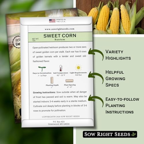 Sow Right Seeds - Golden Bantam Sweet Corn Seed for Planting Outdoors 2pk - Image 2