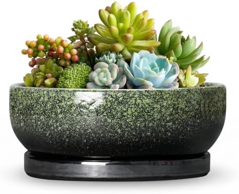 6 Inch Ceramic Succulent Pots for Indoor Plants, Speckle Green by Wliror