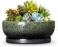 6 Inch Ceramic Succulent Pots for Indoor Plants, Speckle Green by Wliror