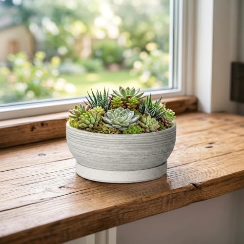 6 Inch Ceramic Succulent Planters with Saucer, Brushed Grey - Image 3
