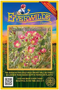 1000 Desert Globemallow Native Wildflower Seeds - Gold Vault Jumbo Seed Packet by Everwilde+Farms