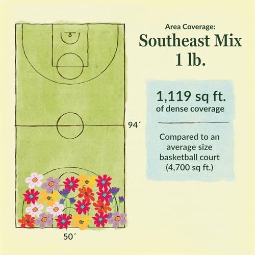 Ferry-Morse Southeast Bulk Wildflower Seeds, 215,000+, 1 lb - Image 6