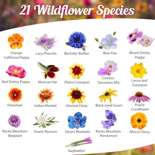 BBB Seed Drought Tolerant Wildflower Seeds Mix, Annual & Perennial, 1 oz - Image 2