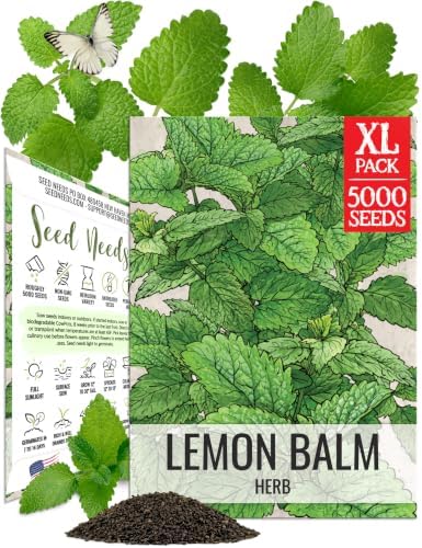 Seed Needs Lemon Balm Seeds to Plant Non-GMO & Heirloom Tea Herbs XL Pack by SeedNeeds