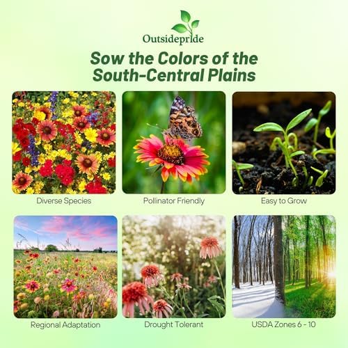 Outsidepride Texas & Oklahoma Wildflower Seed Mix - 1/4 lb Drought-Tolerant, Blend of Annual & Perennial Flower Seeds for Vibrant, Pollinator-Friendly Gardens, Thrives in Full Sun & Well-Drained Soil - Image 3