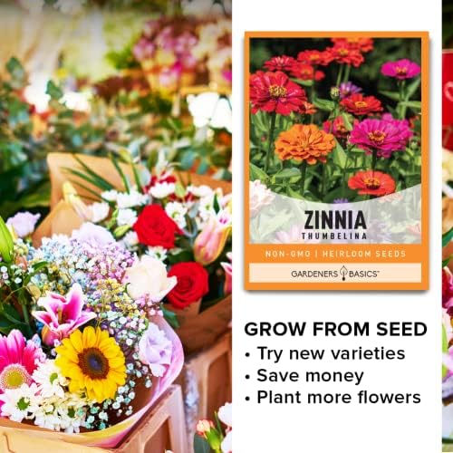 Gardeners Basics Zinnia Seeds for Planting Outdoors Flowers (Thumbelina) - Flower Seed Packet Annual Heirloom, Non-GMO Variety, 800mg Seeds Great for Summer Seeds for Flower Gardens - Image 3