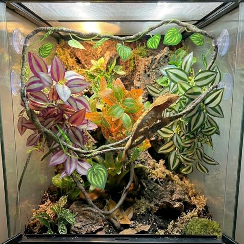 5 Pcs Reptile Plants & Habitat Decor Kit - 3 Artificial Hanging Plants & Large 3.3ft Jungle Vine Branch, Terrarium Tank Climbing Accessories for Crested Gecko, Bearded Dragon, Lizard, Snake, Chameleon - Image 3
