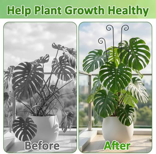 Monstera Plant Support - 32.6 Inch Tall Trellis with 2 Pack Plant Stakes for Your Large Climbing Monstera Deliciosa | Indoor Plant Climbing Frame for Potted Growth - Image 3