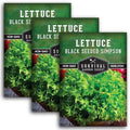 Black Seeded Simpson Lettuce Seeds – Survival Garden Seeds (3 Packs) by SurvivalGardenSeeds