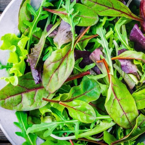 2400+ Lettuce Mix Seeds for Planting - Heirloom Non GMO - Image 2