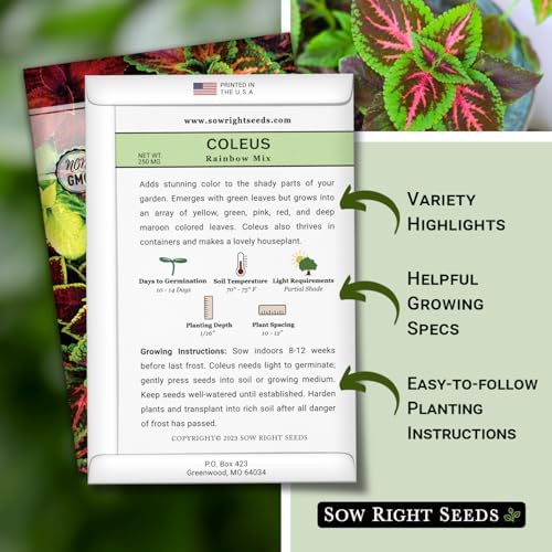 Sow Right Seeds- Rainbow Coleus Seeds for Planting Indoor Shade Flowers 2pk - Image 2