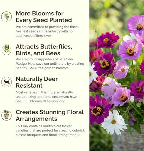 Eden Brothers Purple Rain Flower Mixed Seeds for Planting, 1 lb, 480,000+ Seeds with Zinnia Purple Prince & Violet Queen, Cosmos | Attracts Pollinators, Plant in Spring, Zones 3, 4, 5, 6, 7, 8, 9, 10 - Image 4