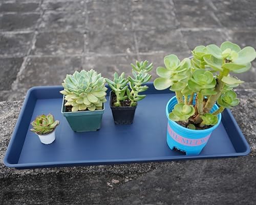 VUWEZ Rectangle Plant Tray, Plant Drip Tray, Plant Pot Saucers, Plant Germination Trays, Plant Saucers, 17.5'' x 10.6'' x 1.5'' (2 pack), Blue - Image 6