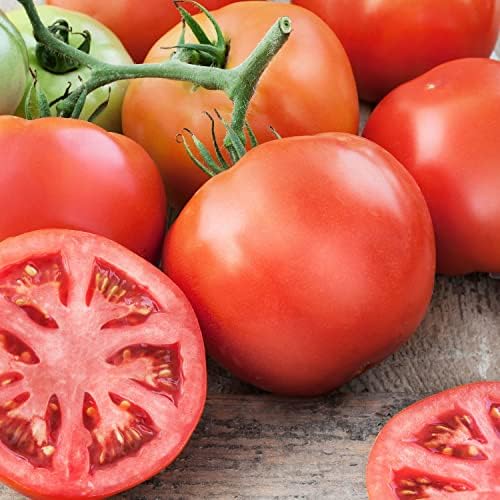 Bonnie Plants Big Beef Tomato 19.3 oz. 4-pack - Image 2