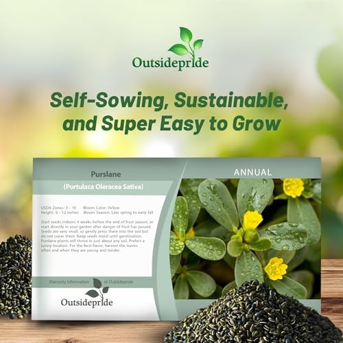 Outsidepride Green Purslane Seeds for Planting - 5,000 Pcs Annual, Easy to Grow, Vitamin-Rich & Drought Tolerant Succulent Seeds for Culinary, Xeriscaping, Containers & Hanging Baskets (Pack of 2) - Image 5