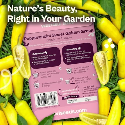 SVI 50 Pepperoncini Greek Golden Pepper Seeds (Capsicum annuum) – Greek Pepperoncini Peppers Seed Packets, Mild Sweet Peppers – Heirloom Vegetable Seeds for Home Garden, Raised Beds, Containers - Image 2