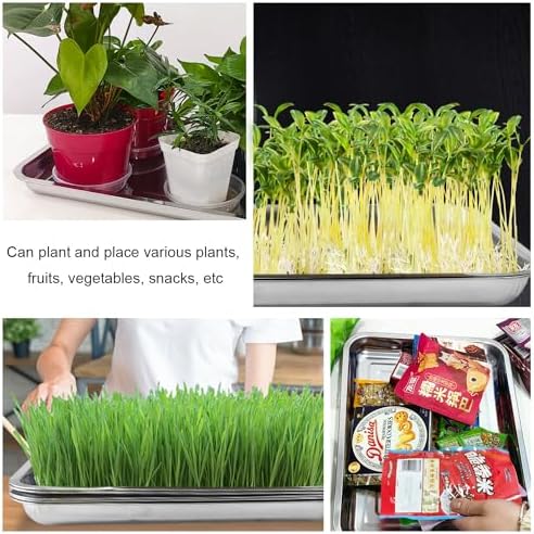 RooTrimmer 5 Pack Large Stainless Steel Seedling Trays, Heavy Duty Metal Water Catch Trays for Nursery Pots-Transplant, Seed Germination & Propagation Flats (17.5 inch×13.56 inch, 1.18" Height) - Image 5