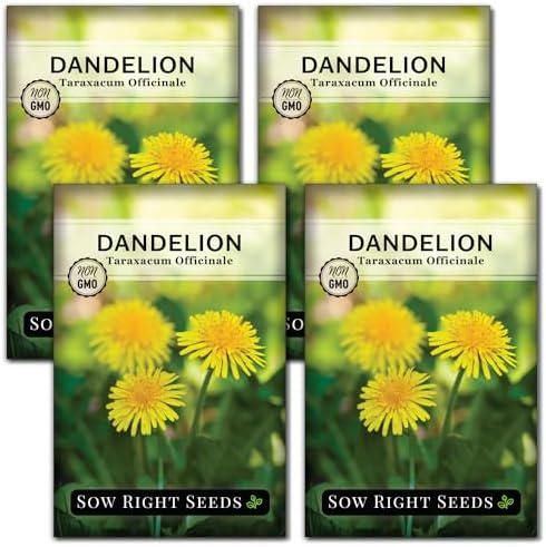 Sow Right Seeds- Common Dandelion Seed for Planting Outdoor Herb Garden 4pk by SowRightSeeds