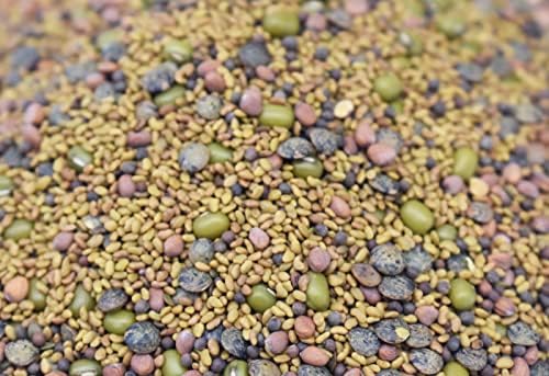 1 lb Salad Style Bean Sprout Starter Seeds - 46 Servings per Bag! - Non-GMO Organic - Sprouting Mix - Includes Alfalfa, Broccoli, Radish, Mung, and Green Lentil - Image 4