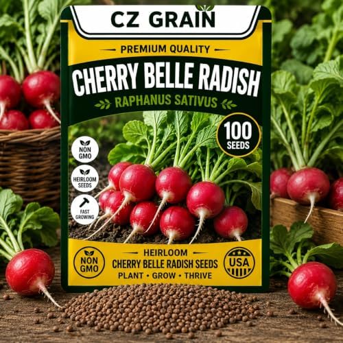 100 Cherry Belle Radish Seeds | Fast Growing Vegetable Seeds for Planting by CZGrain