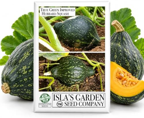 True Green Improved Hubbard Squash Seeds (Cucurbita Maxima) – 25 Heirloom Non-GMO Seeds by Isla’s Garden Seeds, Ideal for Planting, Excellent for Home Gardens, Perfect Gardening Gift by IslasGardenSeedsCompany