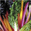 Rainbow Swiss Chard Seeds (25+ Seeds) (More Heirloom, Non GMO, Vegetable, Fruit, Herb, Flower Garden Seeds (25+ Seeds) at Seed King Express) by Unknown