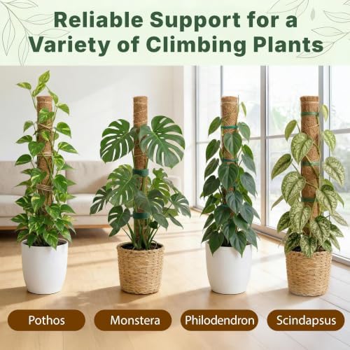 2 Pack 22" Moss Pole Monstera Plant Support - Stackable up to 38" - Image 7