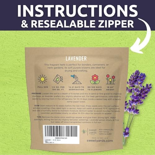 Lavender - Large 1/4 Ounce Packet - 7,000 Flower Seeds for Planting - Lavandula angustifolia - Image 3