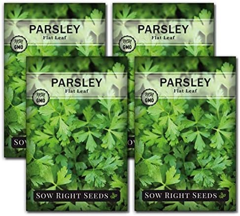 Sow Right Seeds - Flat Leaf Italian Parsley Seed for Planting Herbs 4pk by SowRightSeeds