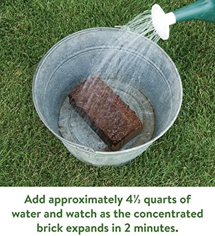 Burpee Organic Coconut Coir Seed Starting Mix, Expands to 16 Quarts - Image 5