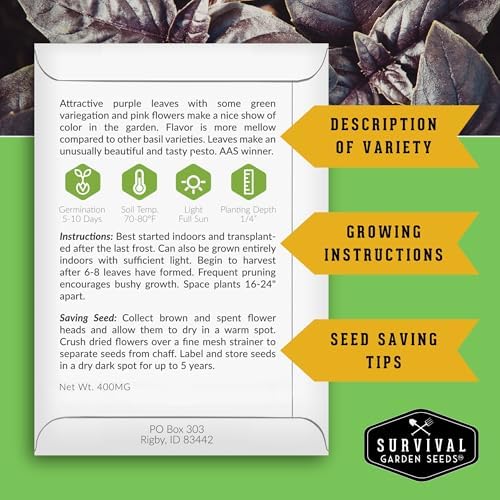 Opal Basil Seeds for Planting - Survival Garden Seeds (5 Pack) - Image 2