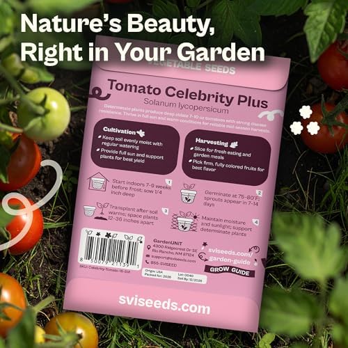 SVI 15 Plus F1 Celebrity Tomato Seeds (Solanum lycopersicum) – Heirloom Tomatoes Seed Packets, Slicing Tomatoes, Tomato Seed – Vegetable Seeds for Outdoor Home Garden Raised Beds, Containers - Image 2