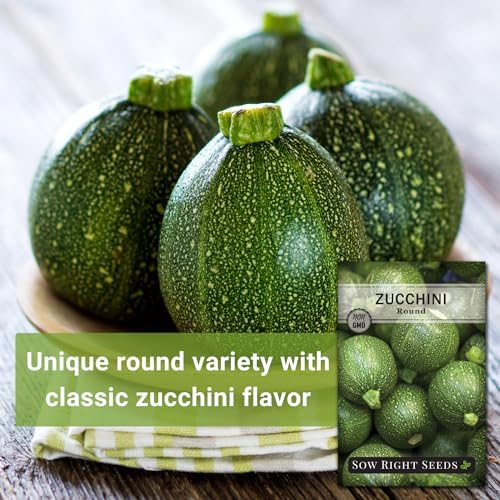 Sow Right Seeds - Round Zucchini Seed for Planting Summer Squash Garden - Image 5