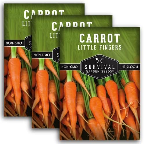 Little Finger Carrot Seeds for Planting – Survival Garden Seeds (3 Pack) by SurvivalGardenSeeds