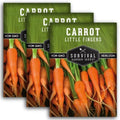 Little Finger Carrot Seeds for Planting – Survival Garden Seeds (3 Pack) by SurvivalGardenSeeds