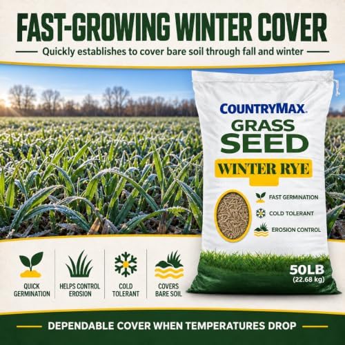50LB Winter Rye Seed, Fast Growing Cover Crop - Image 2