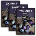 Purple Tomatillo Seeds for Planting - 3 Packs by SurvivalGardenSeeds