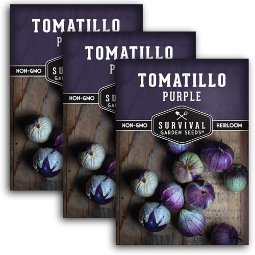 Purple Tomatillo Seeds for Planting - 3 Packs by SurvivalGardenSeeds